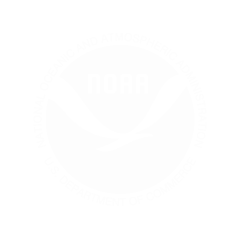 INNOVIM-Serves-NOAA-Icon